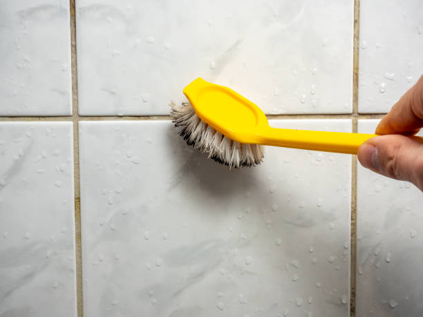 Best Fast Mold Removal  in Hillcrest, CA