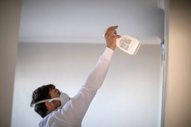 Best Professional Mold Removal  in Hillcrest, CA