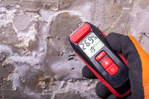 Trusted Hillcrest, CA Mold Removal Experts