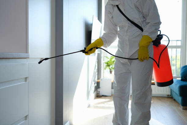 Office Mold Removal Services in Hillcrest, CA