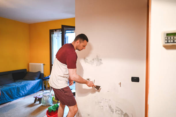 Best Local Mold Removal Service  in Hillcrest, CA