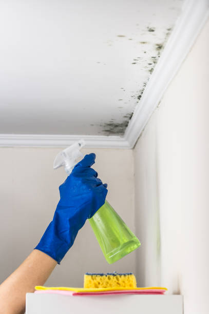 Water Damage Restoration in Hillcrest, CA